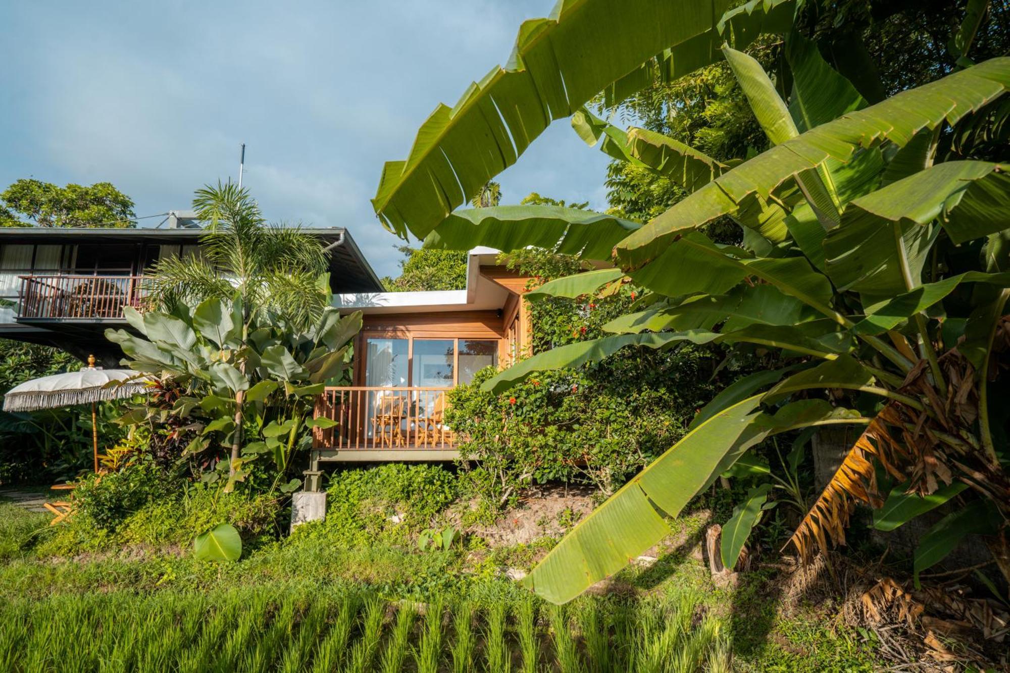 Gruen Ubud 外观 照片