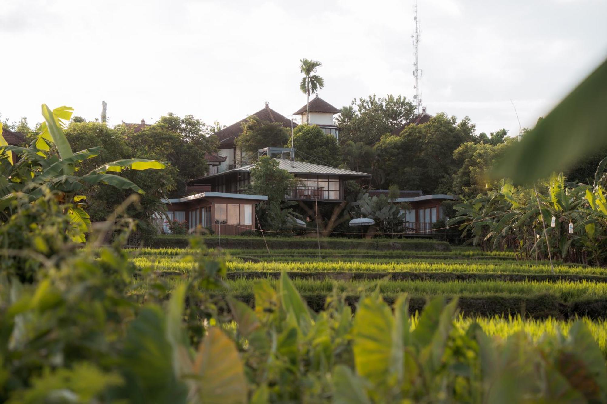 Gruen Ubud 外观 照片