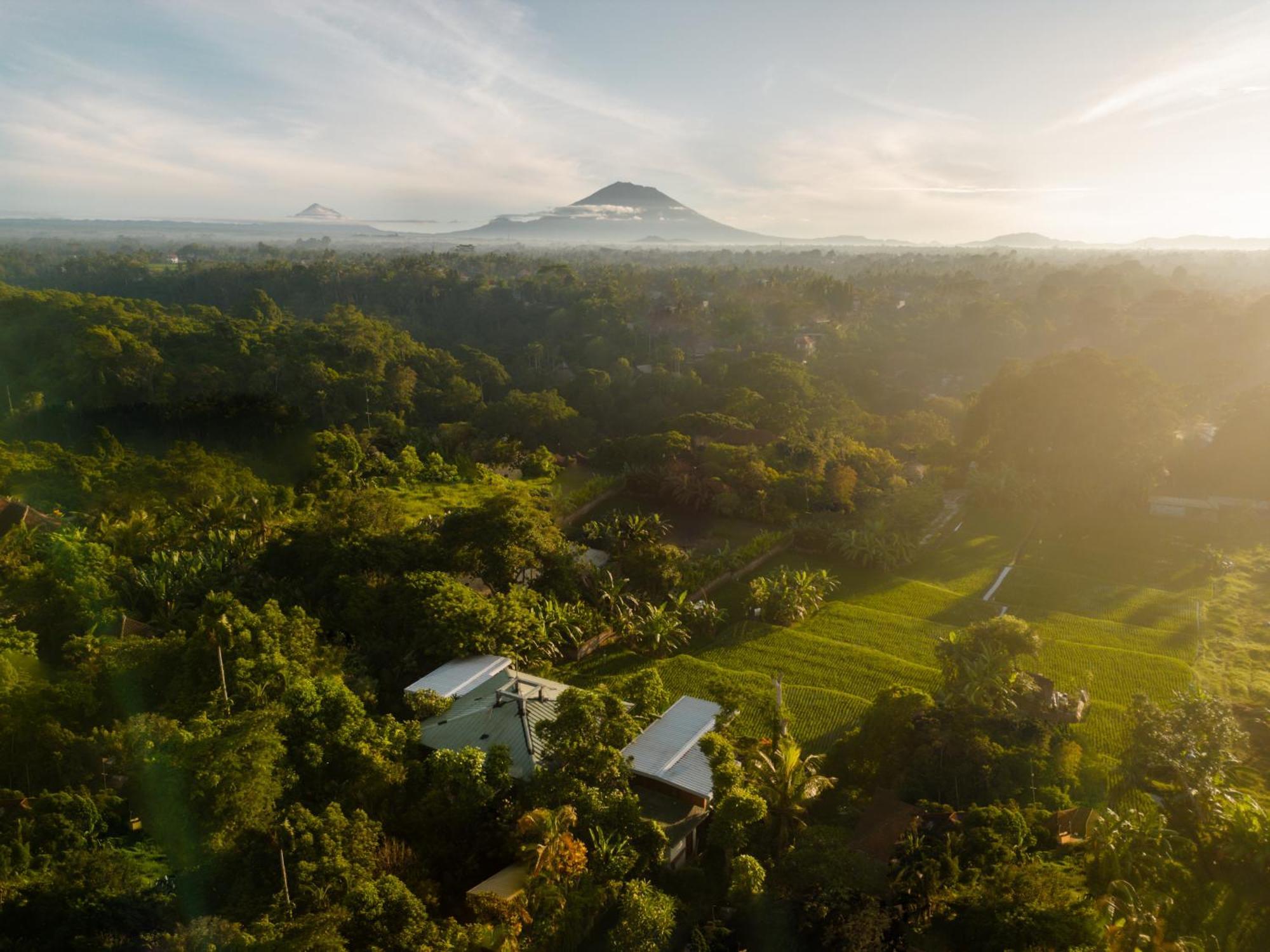 Gruen Ubud 外观 照片