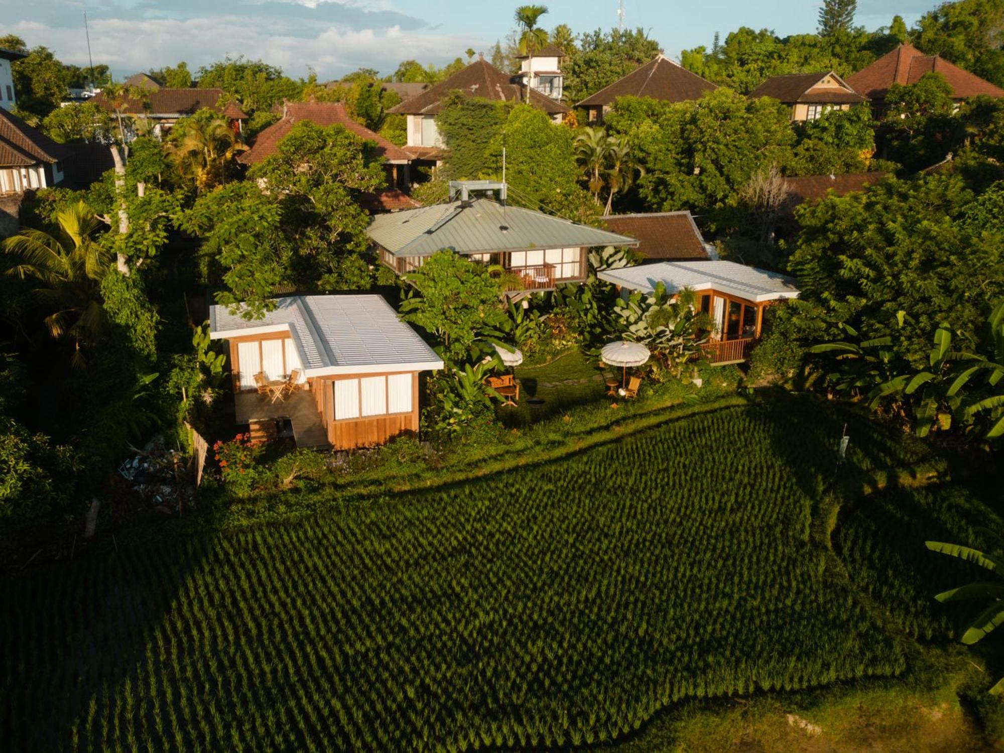 Gruen Ubud 外观 照片